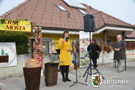 Martinovanje v središču Male Nedelje 1